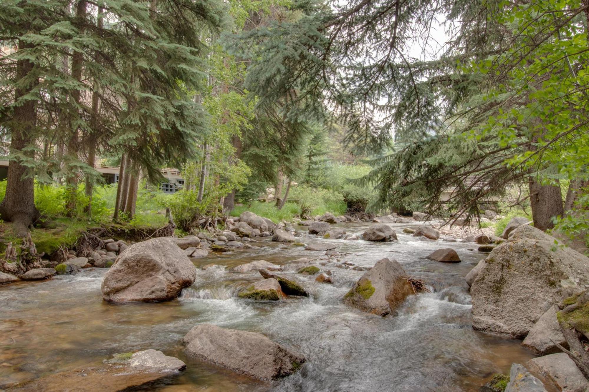Timber Falls #809 Vail Rum bild