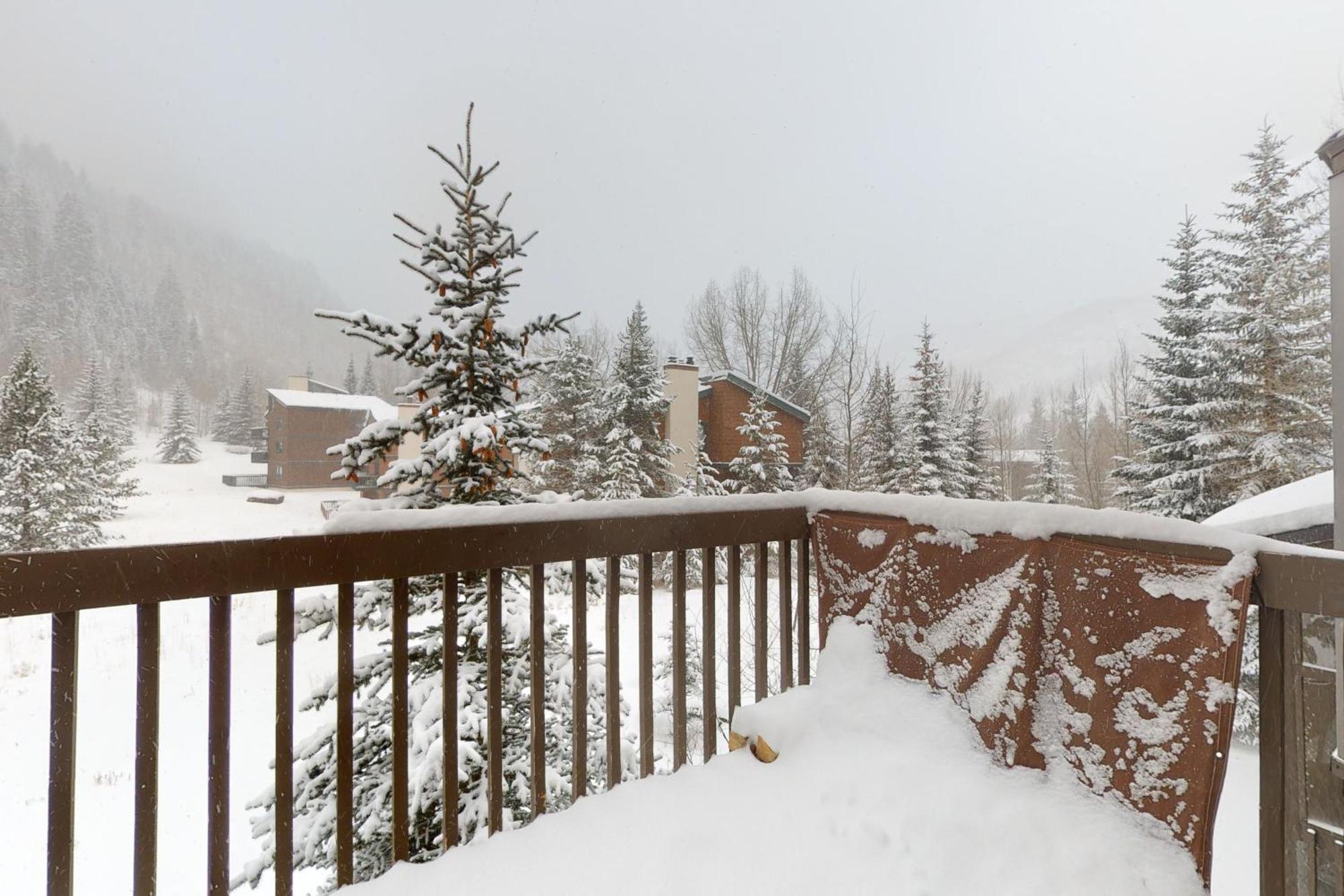 Timber Falls #809 Vail Rum bild